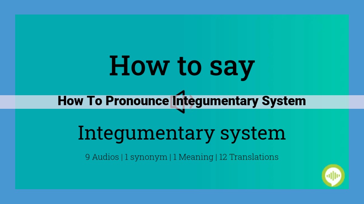 Mastering the Pronunciation of "Integumentary System": A Comprehensive Guide with Expert Tips