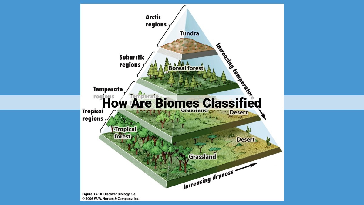 Understanding Biomes: Climate, Vegetation, Soil, Animals, and Human Impacts