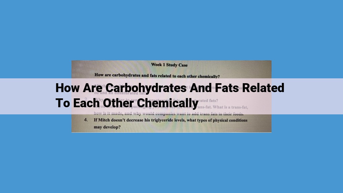 Carbohydrates vs. Fats: Essential Biomolecules for Energy and Storage