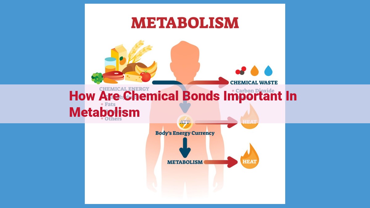 Chemical Bonds: Essential Energy Currency and Building Blocks of Metabolism