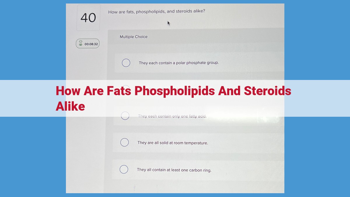 Understanding the Similarities and Differences Between Fats, Phospholipids, and Steroids