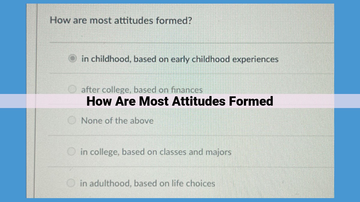 Understanding Attitude Formation: Processes and Implications