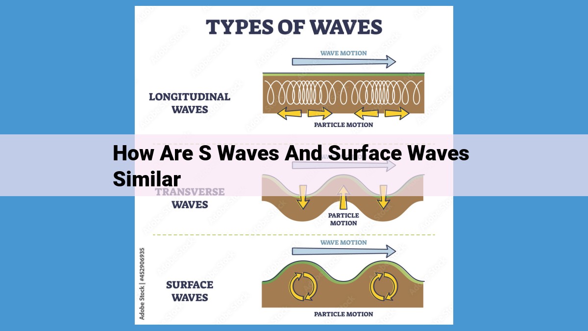 Understanding S Waves and Surface Waves: Transverse Motions in Earthquakes