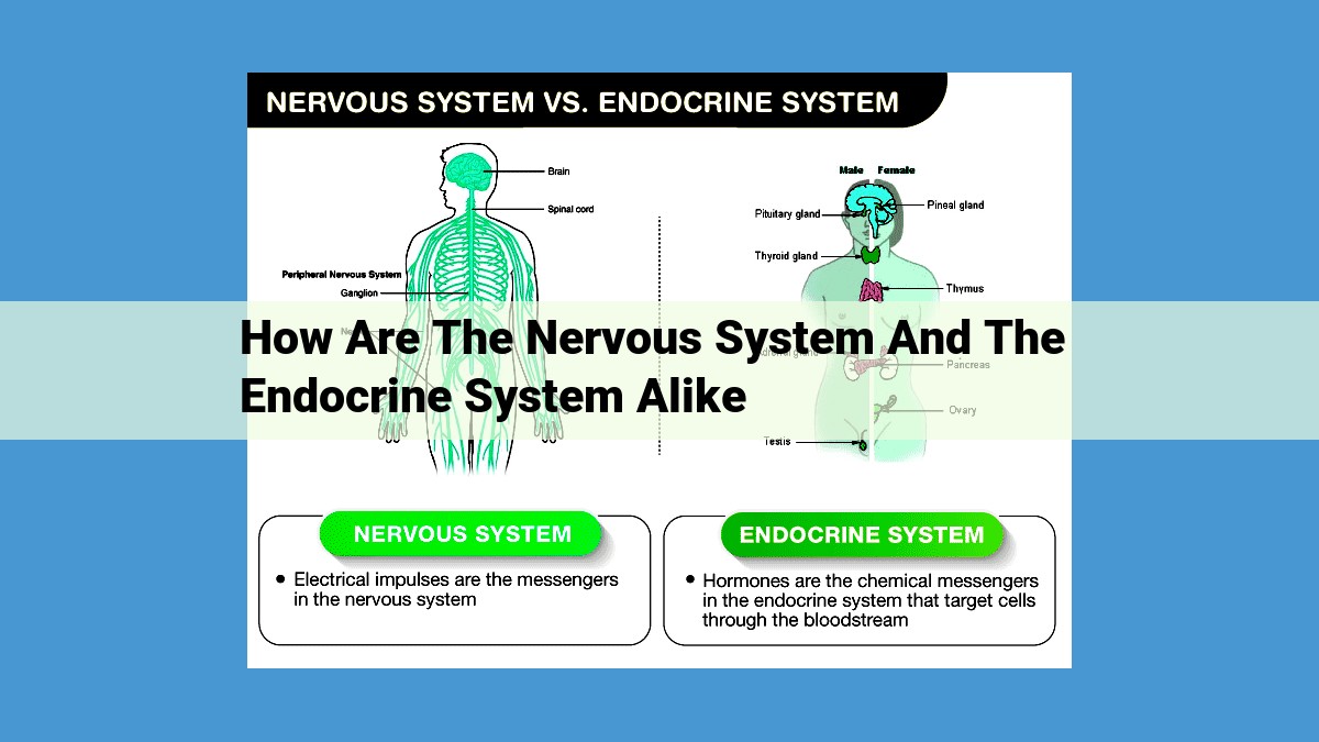 Exploring Commonalities between the Nervous and Endocrine Systems: Signal Transmission, Homeostasis, and Coordination