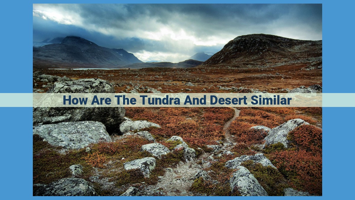 Unveiling the Unexpected Similarities Between Tundra and Desert: Sparse Vegetation, Harsh Conditions, and Extreme Extremes