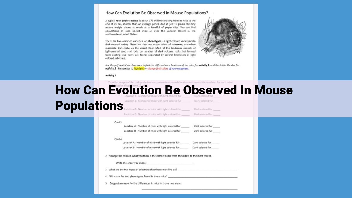 Understanding Evolutionary Processes Through Mouse Populations: Insights from Artificial Selection and Genetic Diversity