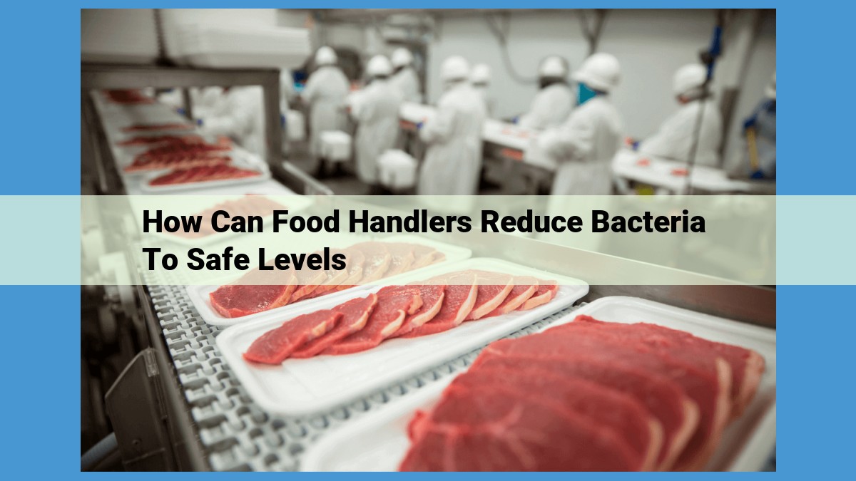 Optimizing Title for SEO: Essential Food Safety Practices to Minimize Bacteria in Food