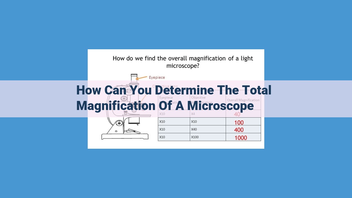 Understanding Microscope Magnification: Eyepiece, Objective Lens, and Calculations