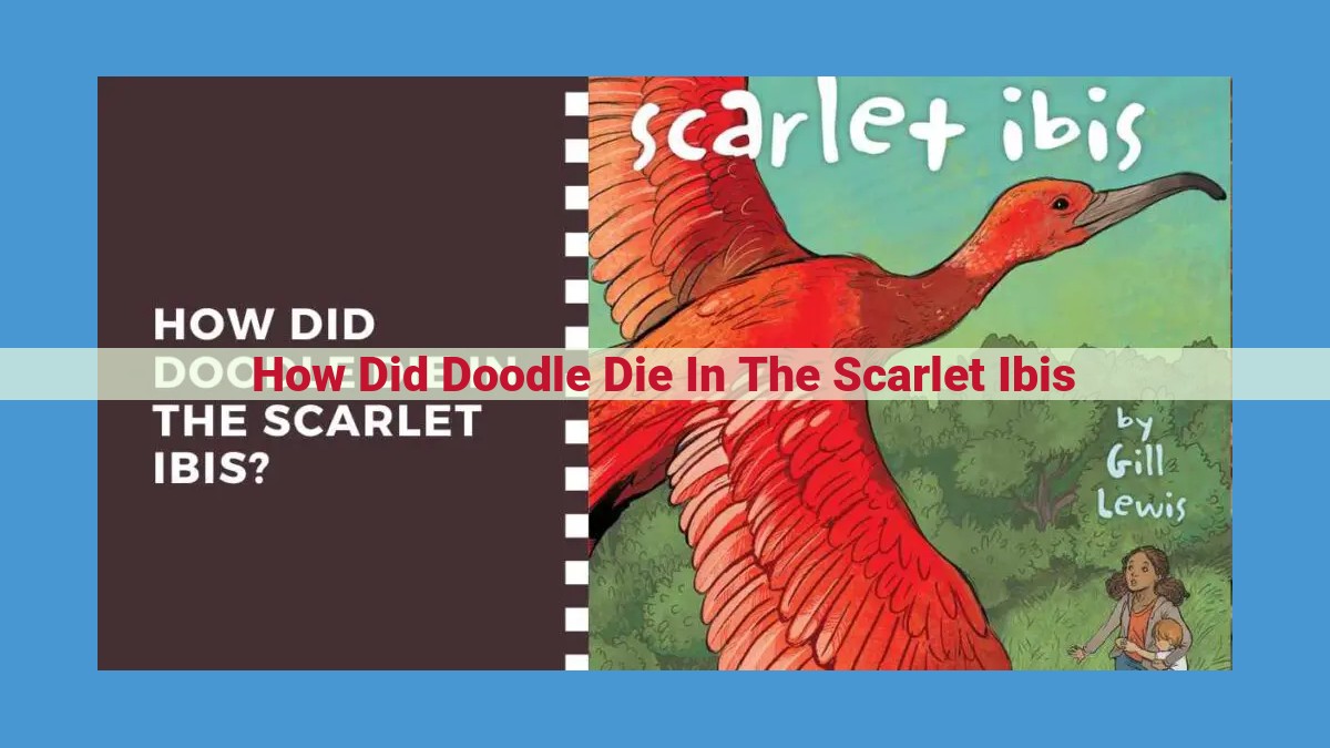 Unveiling the Heartbreaking Fate of Doodle: Lessons from "The Scarlet Ibis"