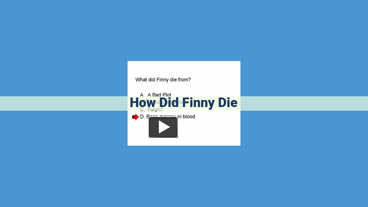 Unraveling Finny's Untimely Demise: Drowning, Accident, or Foul Play