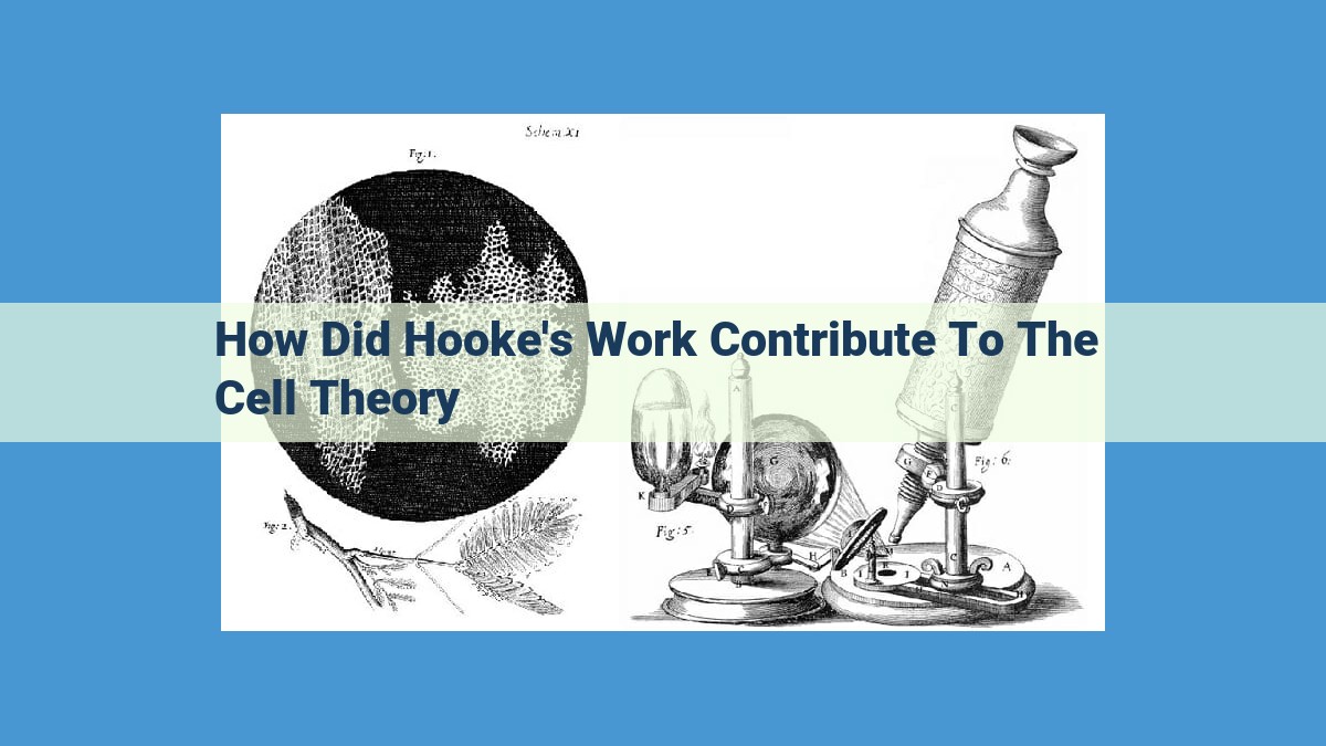 Hooke's Legacy: The Invention of the Compound Microscope and the Discovery of Cells