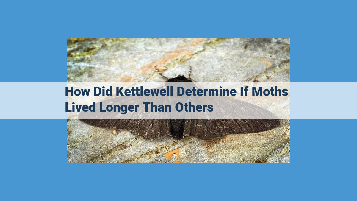 Natural Selection in Moths: Kettlewell's Camouflage Experiment