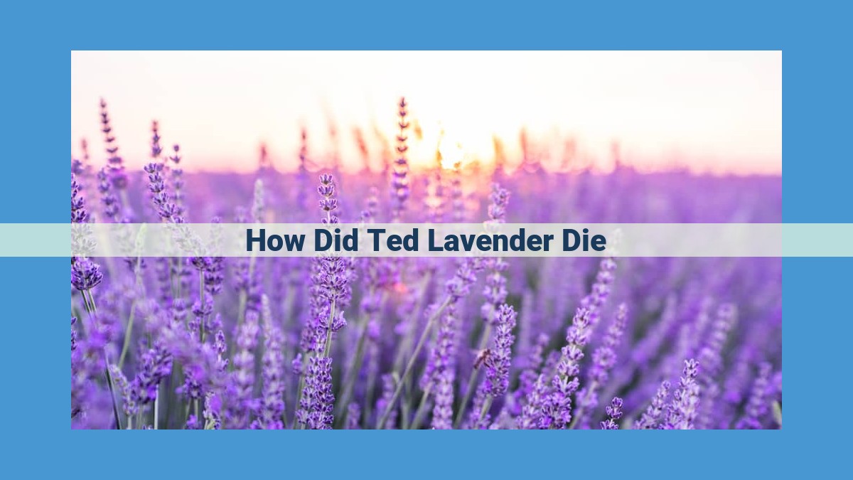 Unraveling the Mystery: The Unsolved Death of Ted Lavender