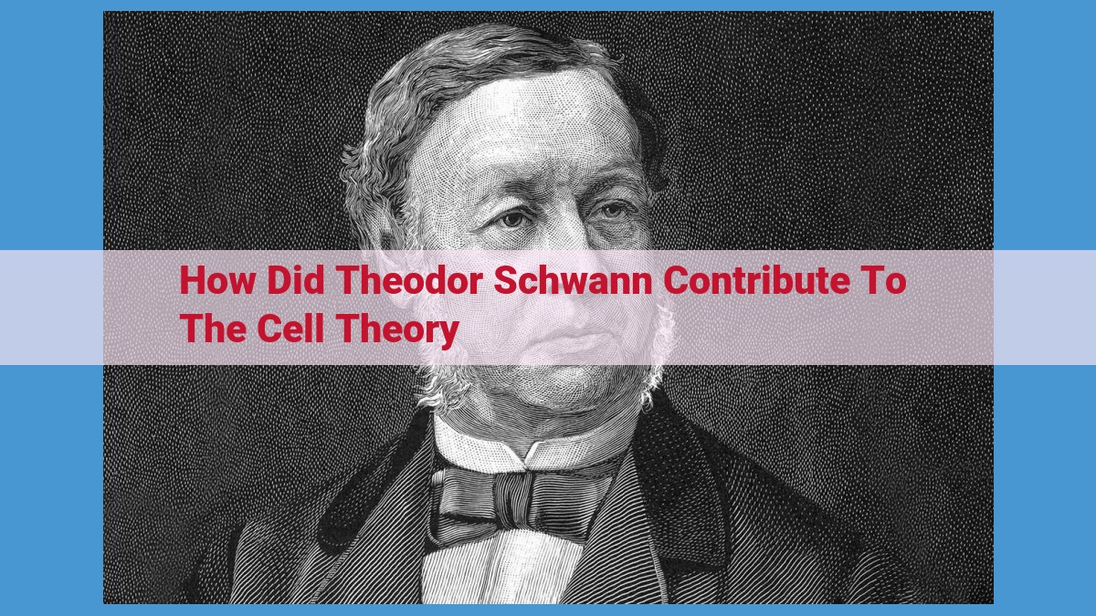 The Discovery of the Myelin Sheath by Schwann: A Cornerstone in the Development of Cell Theory