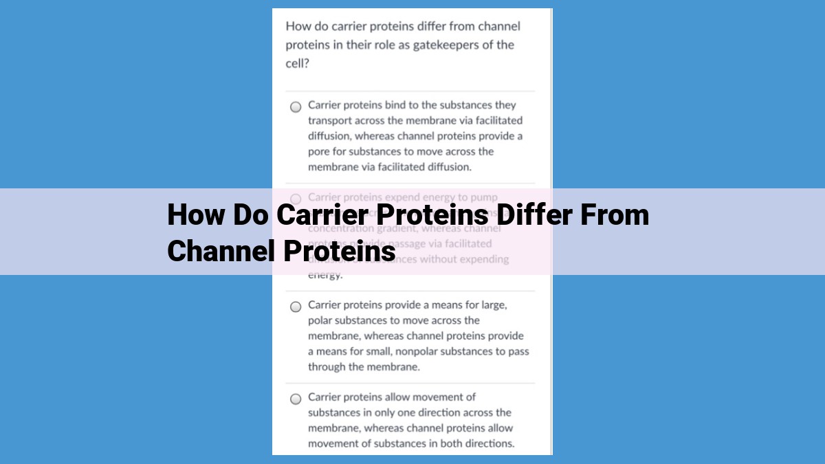 Membrane Protein Transport: Carrier vs. Channel Proteins