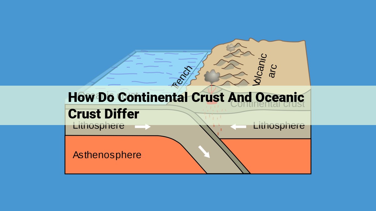 Continental and Oceanic Crust: Understanding the Earth's Surface Topography