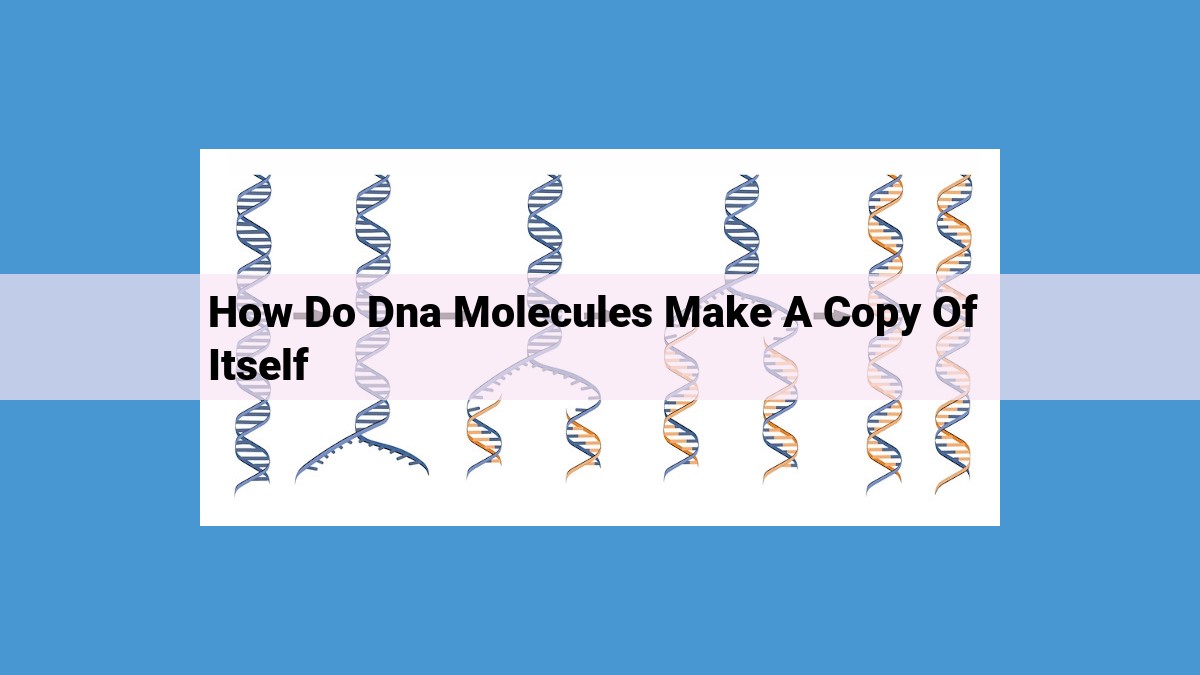 DNA Replication: Essential Process for Cell Division and Genetic Inheritance