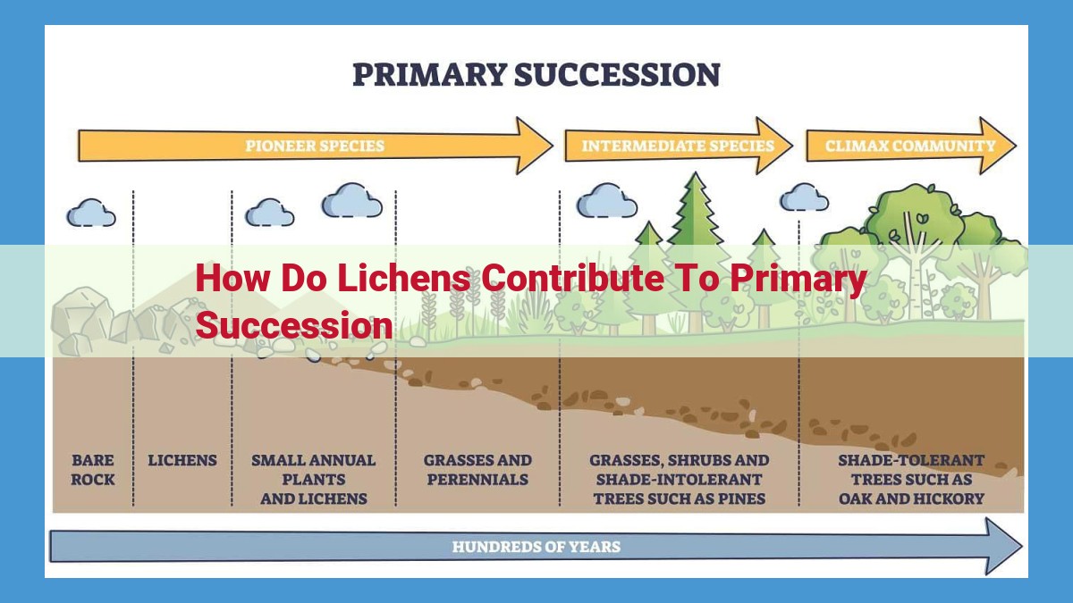 The Role of Lichens in Initiating Primary Succession on Bare Rock: A Symbiotic Journey