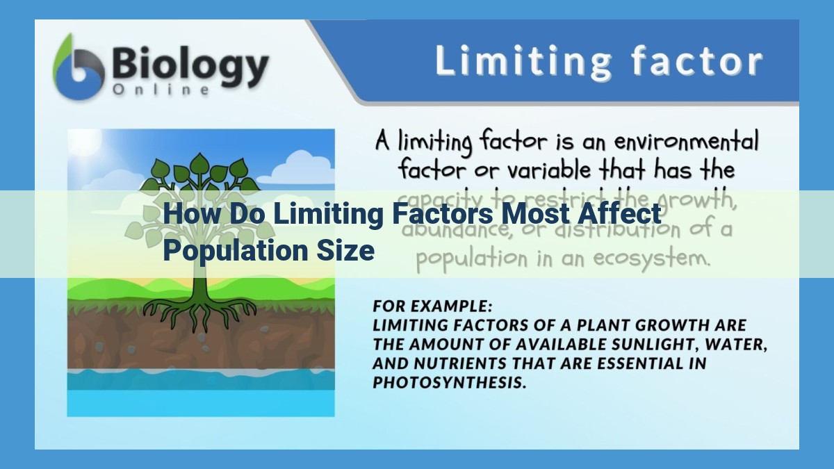 Population Dynamics: Unlocking the Secrets of Growth, Limits, and Ecological Balance