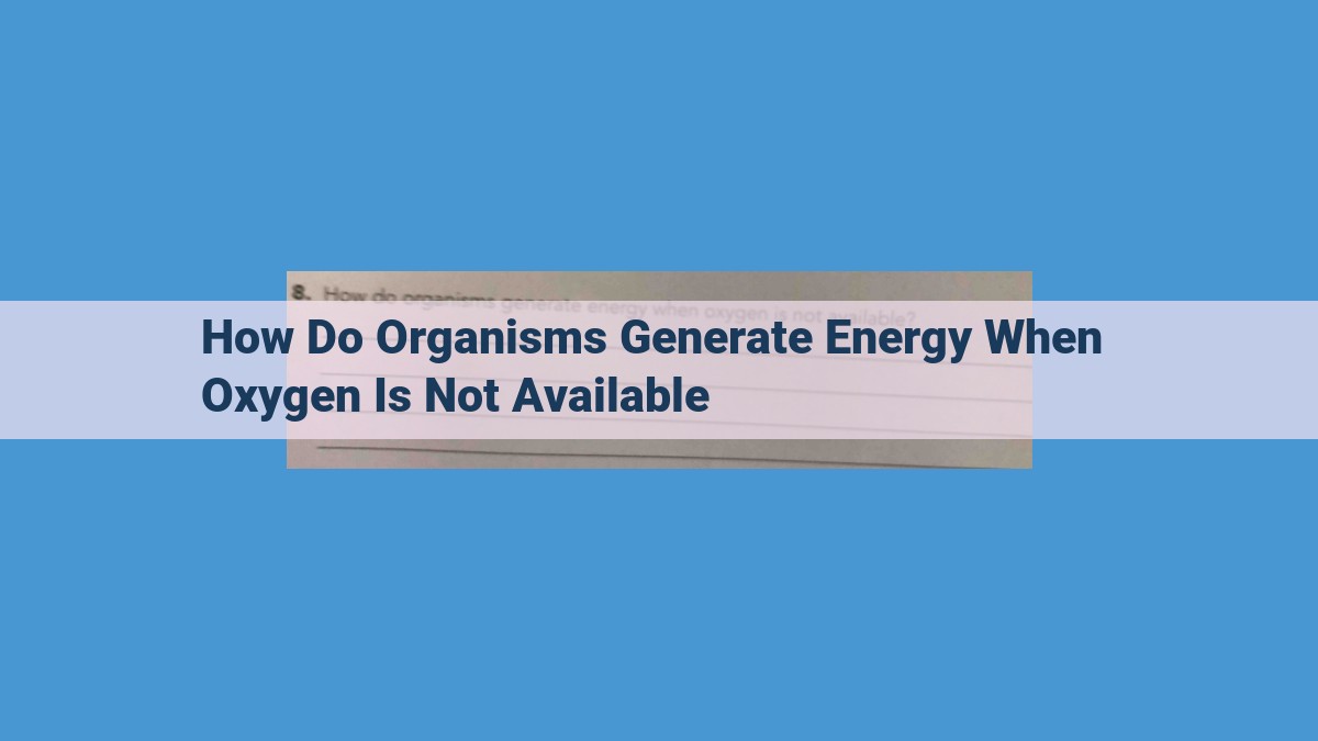 Anaerobic Respiration: Energy Production Without Oxygen in Diverse Environments