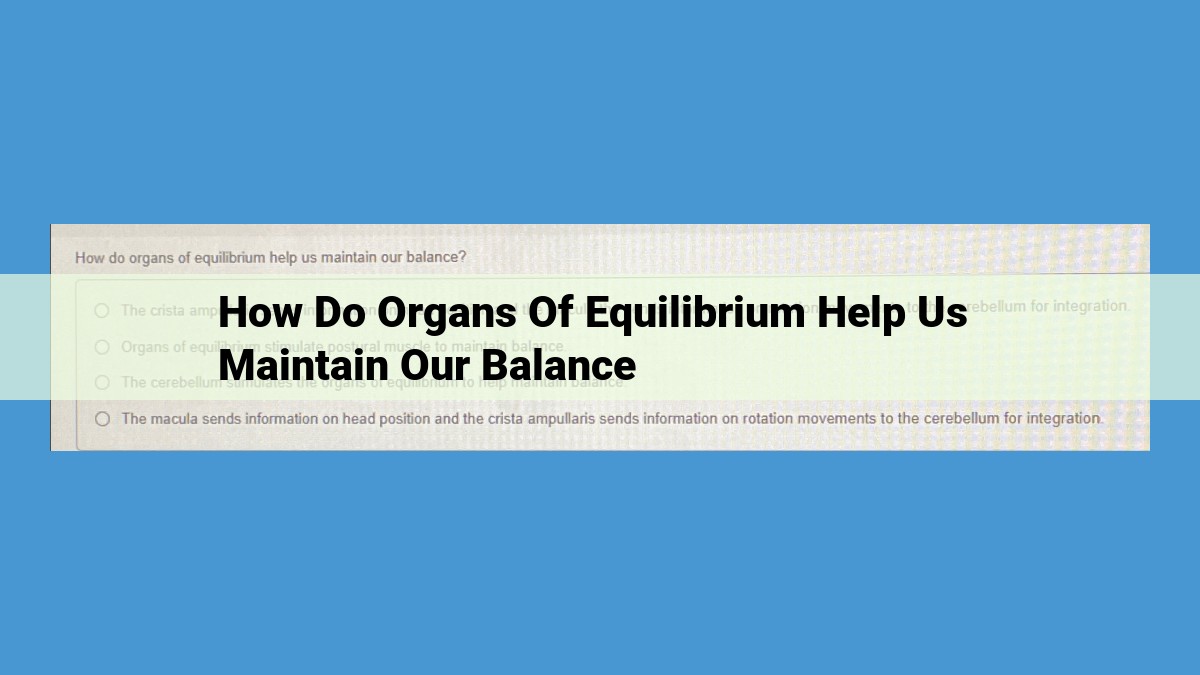 The Vestibular System: Essential for Balance, Coordination, and Spatial Orientation