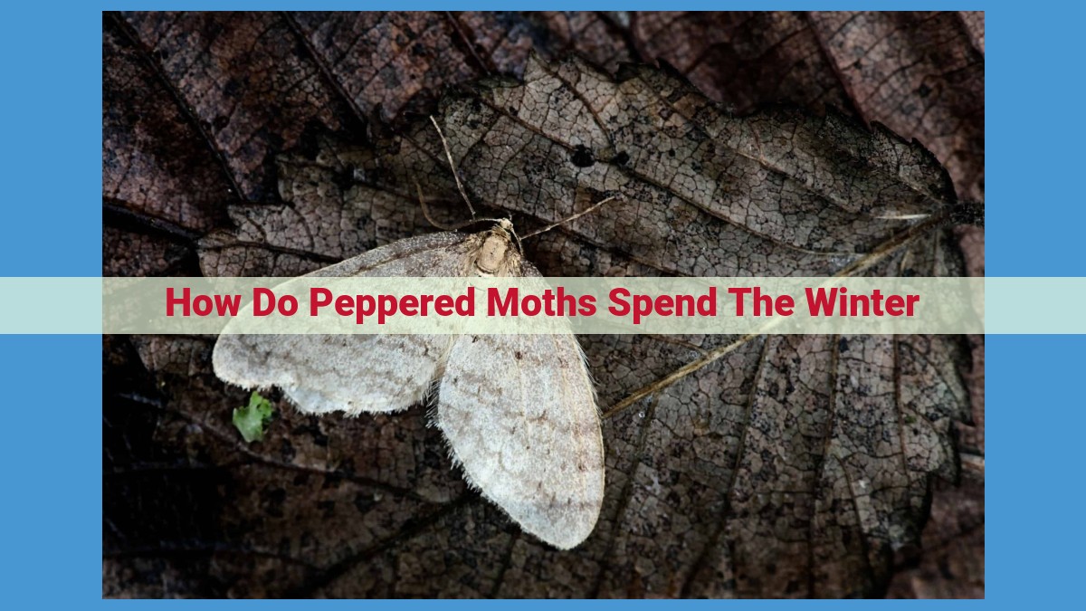 Winter Survival Strategies of Peppered Moths: Diapause, Hibernation, and Camouflage for Extreme Conditions