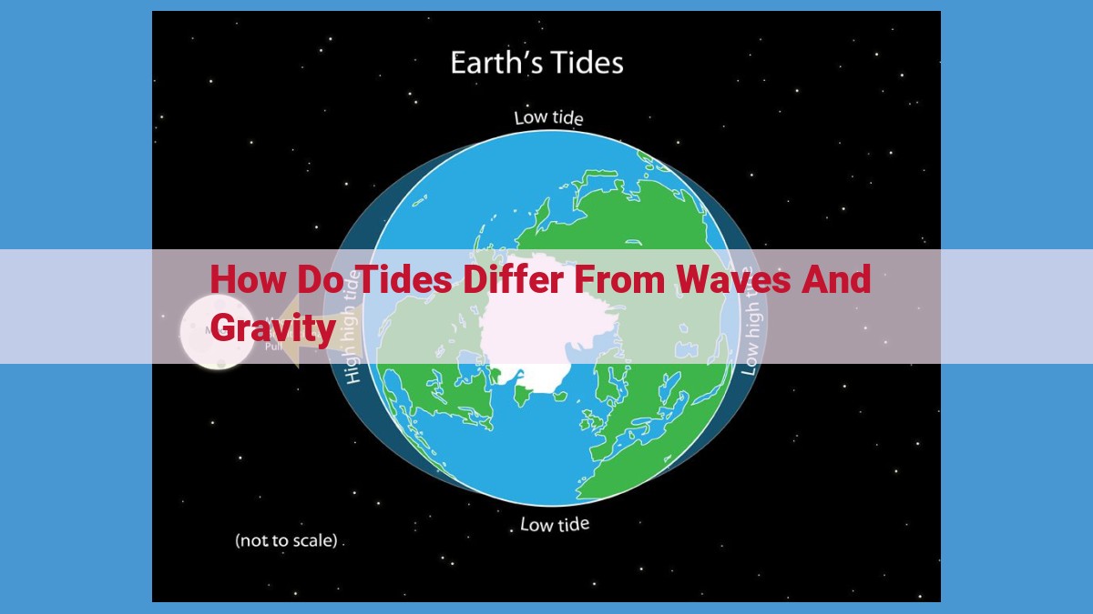 Understanding Tides, Waves, and Gravity: Their Interplay and Impact