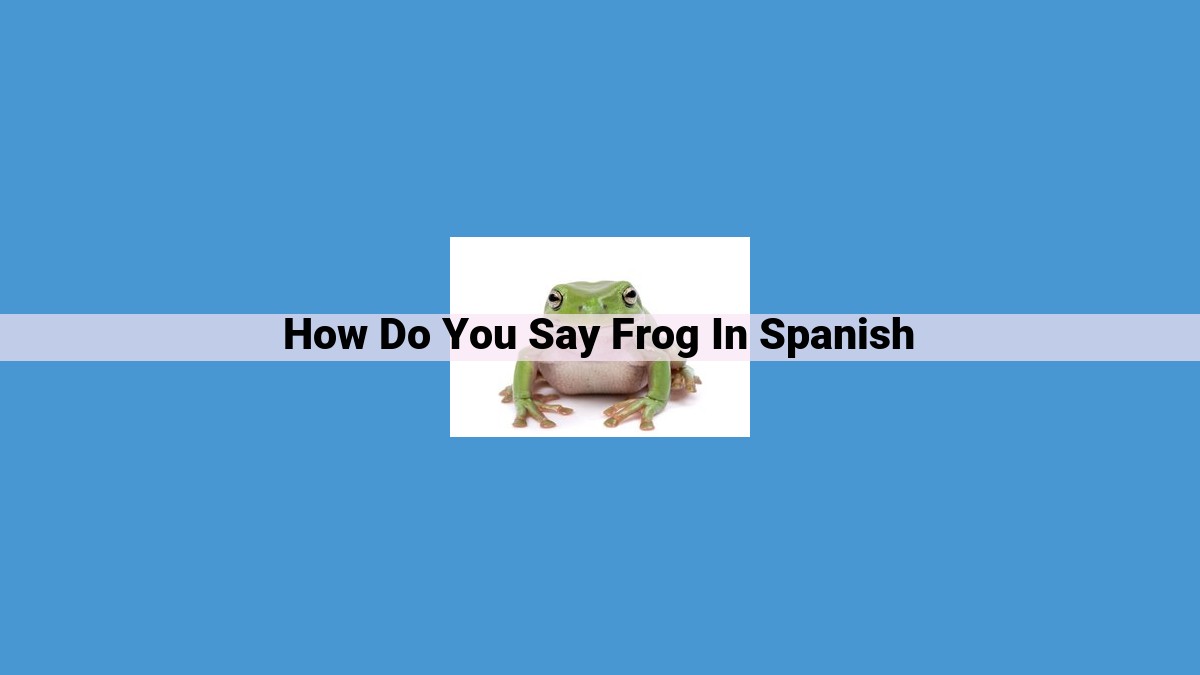 Understanding the Amphibian Terminology in Spanish: Frogs, Toads, and Beyond