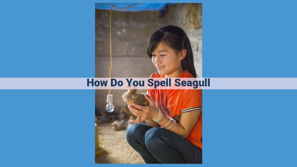 Mastering Seagull Spelling: Unlocking English Spelling Rules and Pronunciation