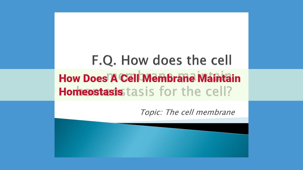 Ultimate Guide to Cell Membrane: A Vital Barrier for Cell Health and Function