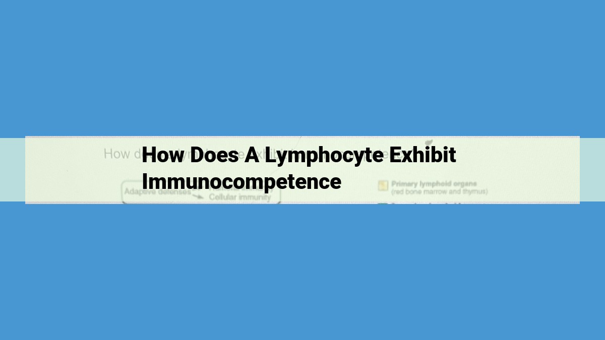 Understanding Lymphocyte Immunocompetence: The Cornerstone of a Robust Immune System