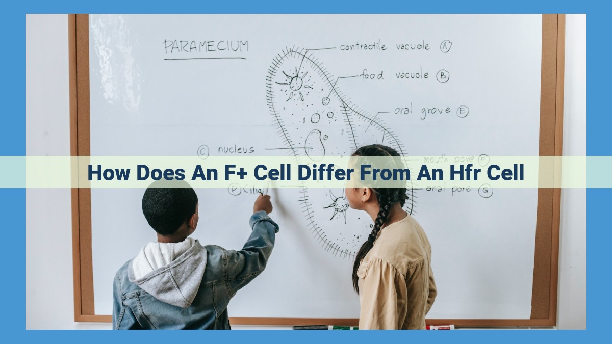 Unraveling the Conjugative Dynamics of F+ and Hfr Cells: Implications for Genetic Exchange and Resistance