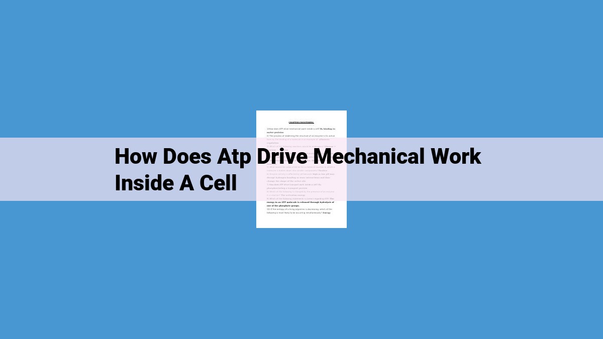 The Role of ATP, Motor Proteins, and the Cytoskeleton in Cellular Mechanical Processes (SEO-Optimized)