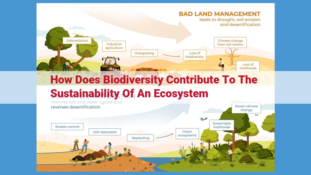 Unlocking the Power of Biodiversity: Key to Ecosystem Health and Human Well-being