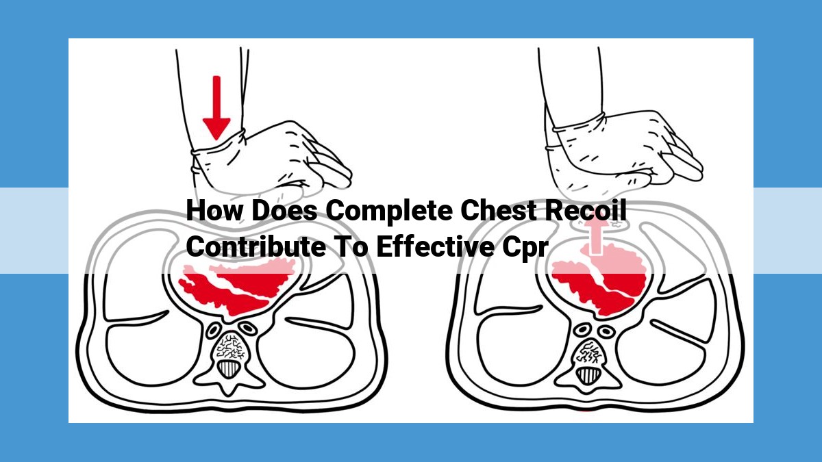 Chest Recoil in CPR: Enhancing Ventilation, Oxygenation, and Cardiac Function