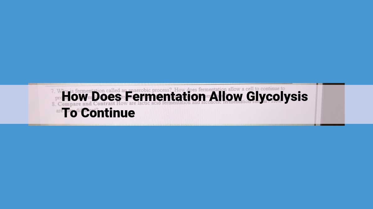 The Importance of Fermentation in Glycolysis: Unlocking Continuous Energy Production