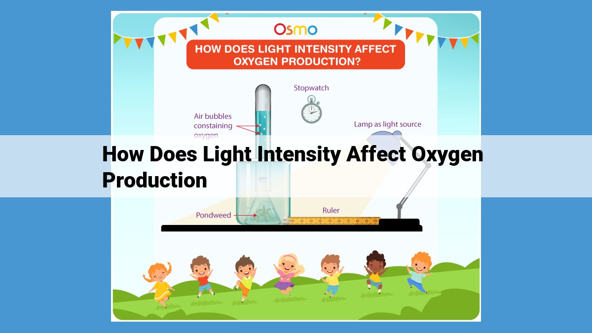 Unveiling the Correlation between Light Intensity and Oxygen Production in Photosynthesis