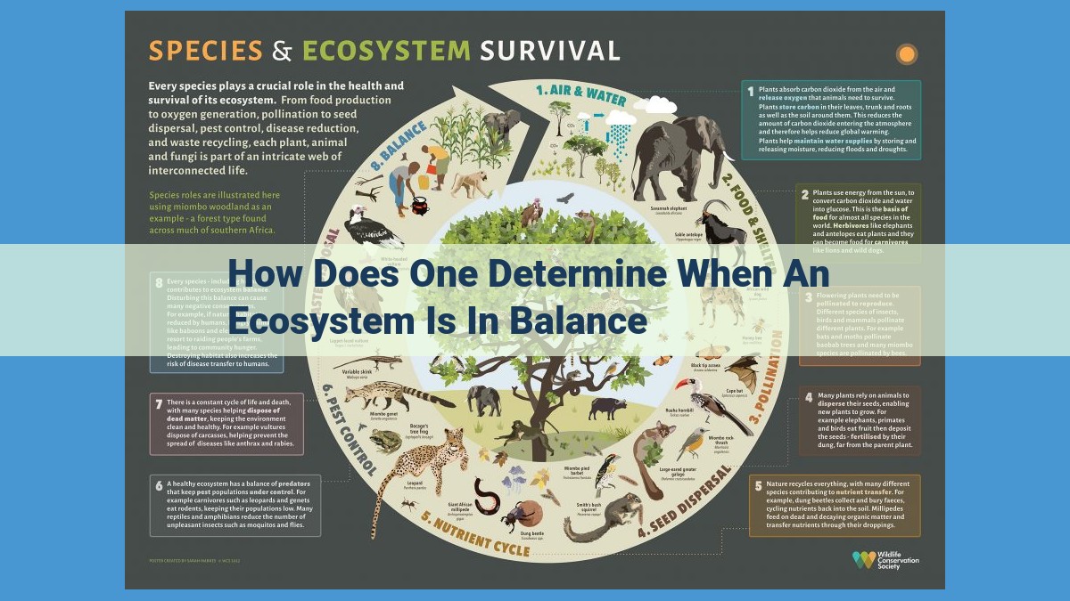 Optimize Ecosystem Balance through Interconnected Metrics