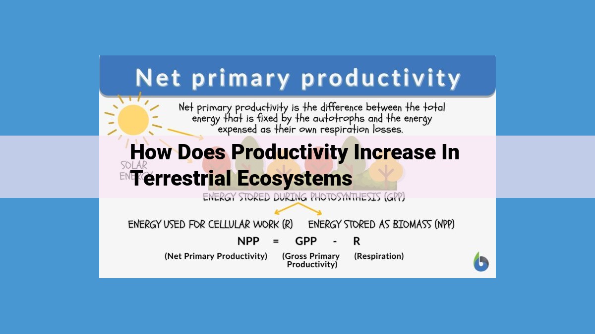 Unlocking Increased Productivity in Terrestrial Ecosystems: Key Drivers and Strategies