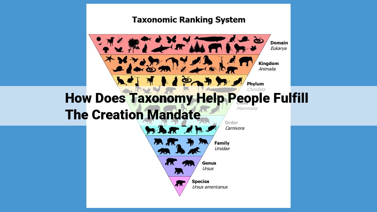 Unlocking the Wonders of Life: The Power of Taxonomy in Understanding Our Place and Protecting Our Planet