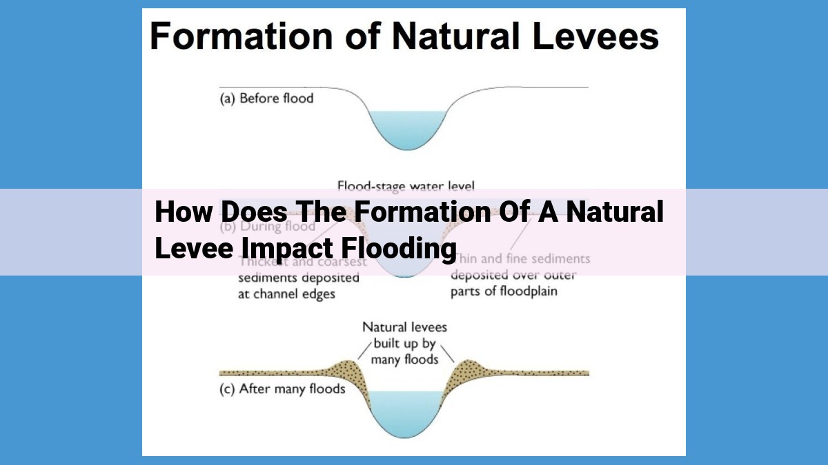 Natural Levees: Essential Floodplain Protectors and Riverbank Stabilizers