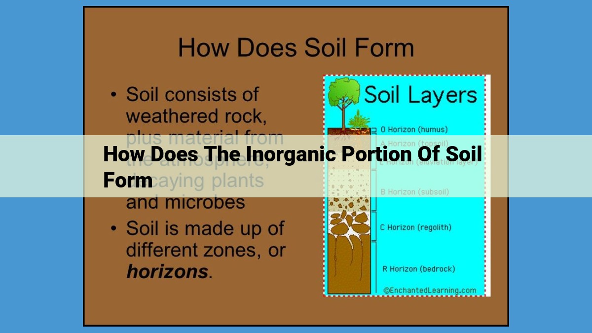 Inorganic Soil Formation: A Comprehensive Guide to Soil Chemistry and Health