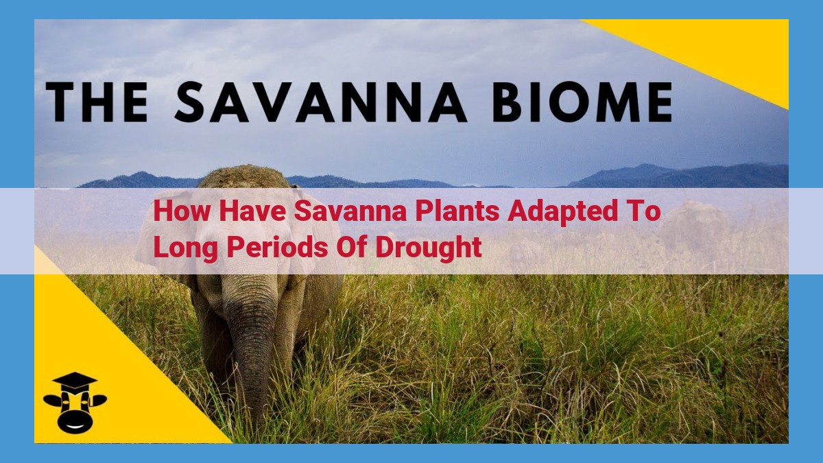 Savanna Adaptations: Unveiling Extraordinary Plant Resilience Amidst Water Scarcity