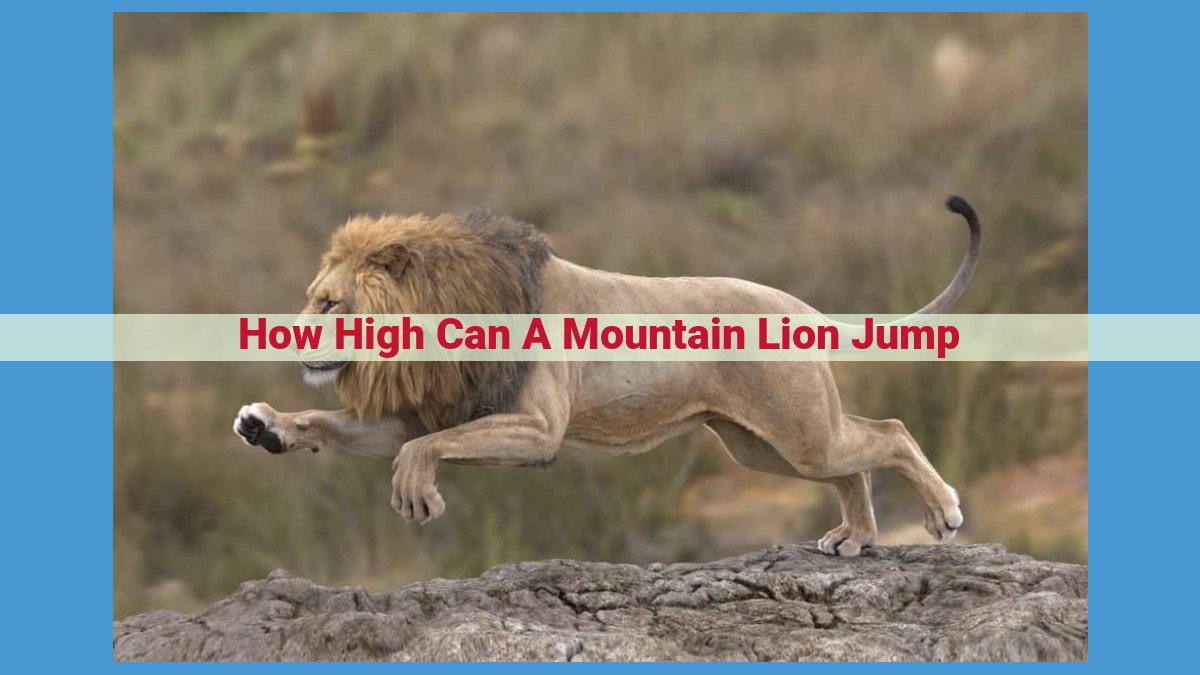 The Incredible Jumping Ability of Mountain Lions: Height, Distance, and Factors