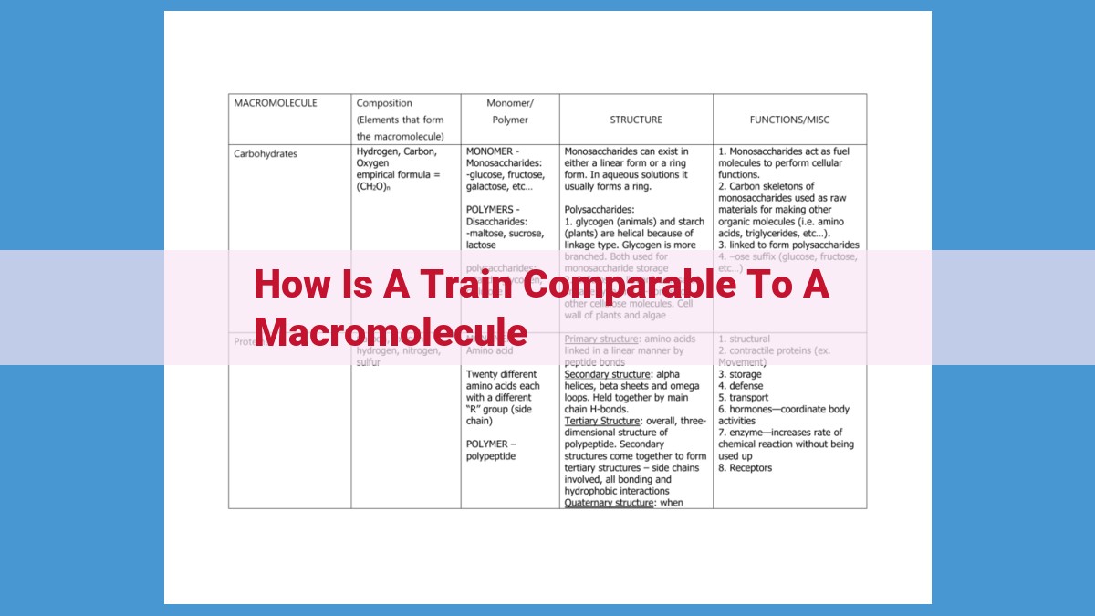 Analogy of Macromolecules and Trains: Complex Assemblies for Cellular Function