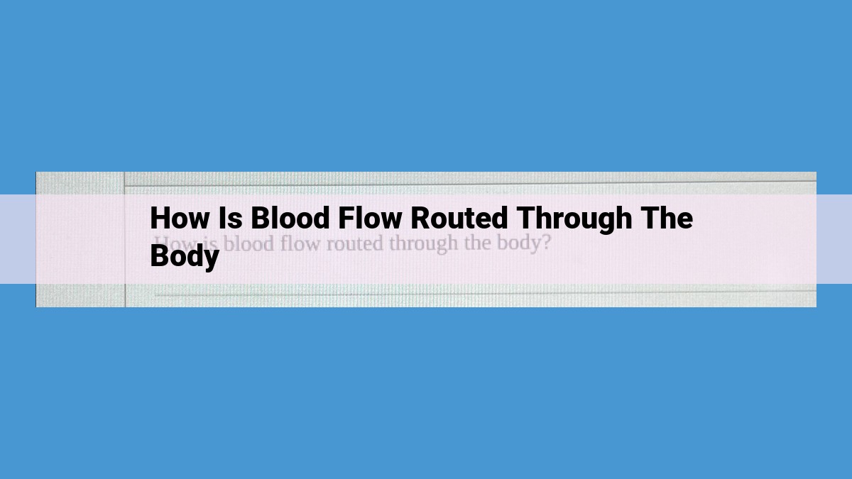 Understanding Blood Flow: A Comprehensive Guide to Circulation and Regulation