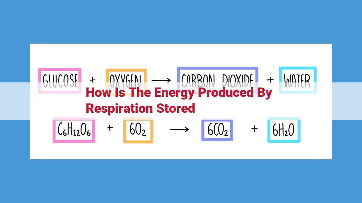 Cellular Respiration: Unlocking Energy for Life's Processes