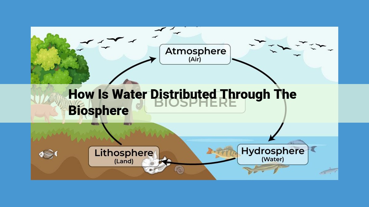 The Interconnected Water Cycle: Sustaining Life and Ecosystems