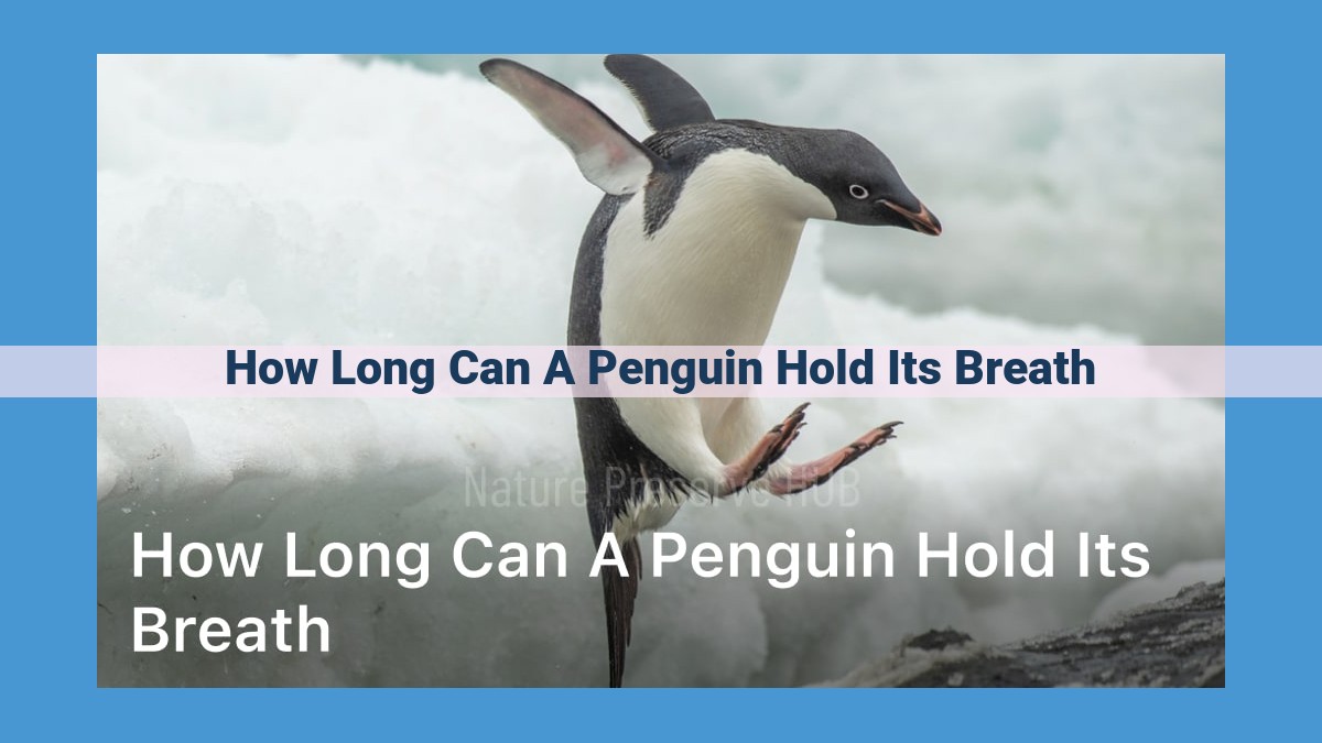 Penguins: Deep-Diving Aqua Explorers with Astonishing Breath-Holding Powers