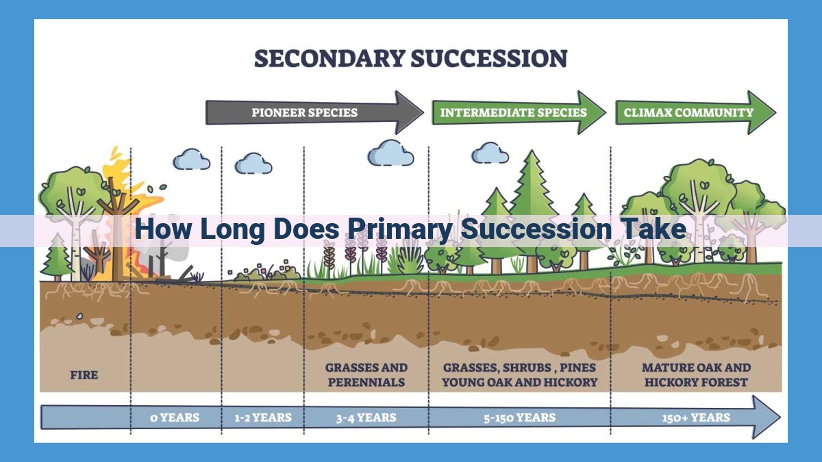 Primary Succession: A Comprehensive Guide to Its Pace and Drivers